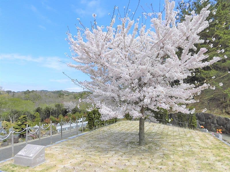 神戸聖地霊園