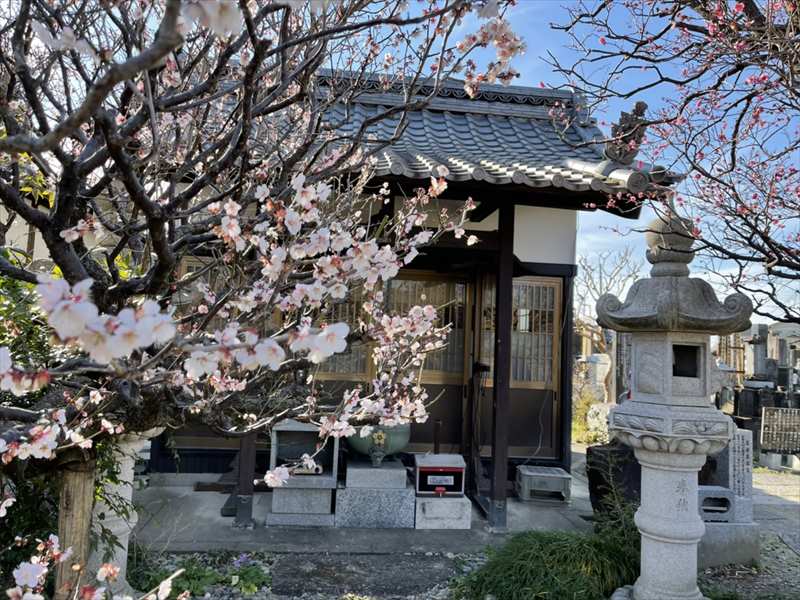 宝性寺 のうこつぼ
