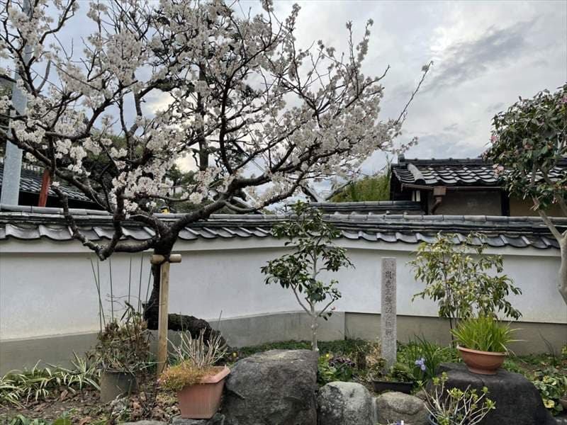 善福寺 のうこつぼ