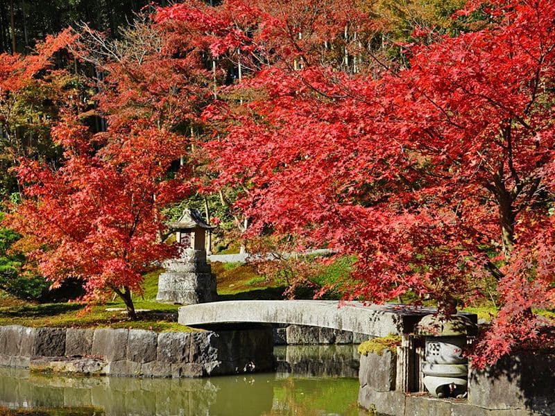 桐岳寺 のうこつぼ