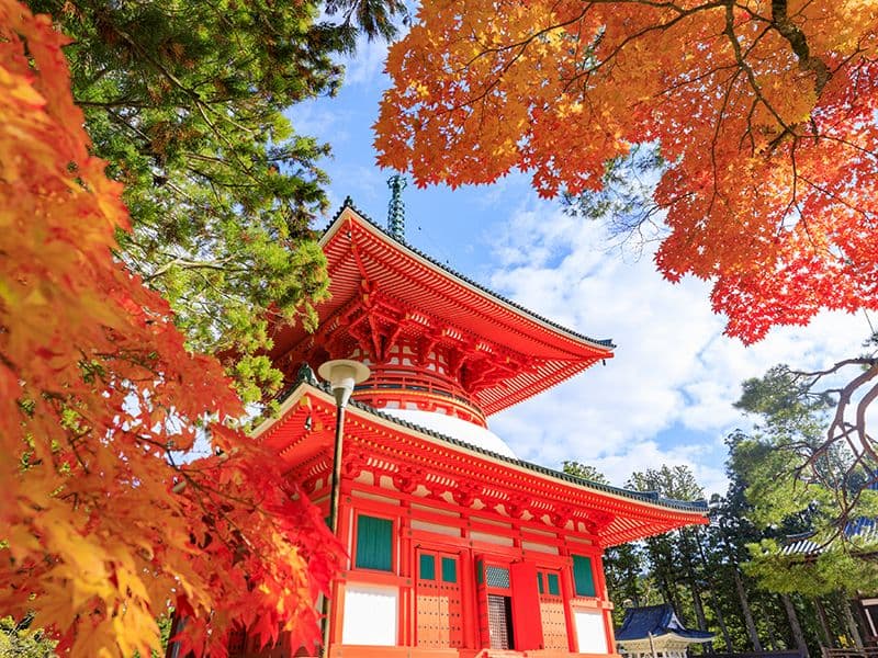 高野山壇上伽藍が目の前に見えます