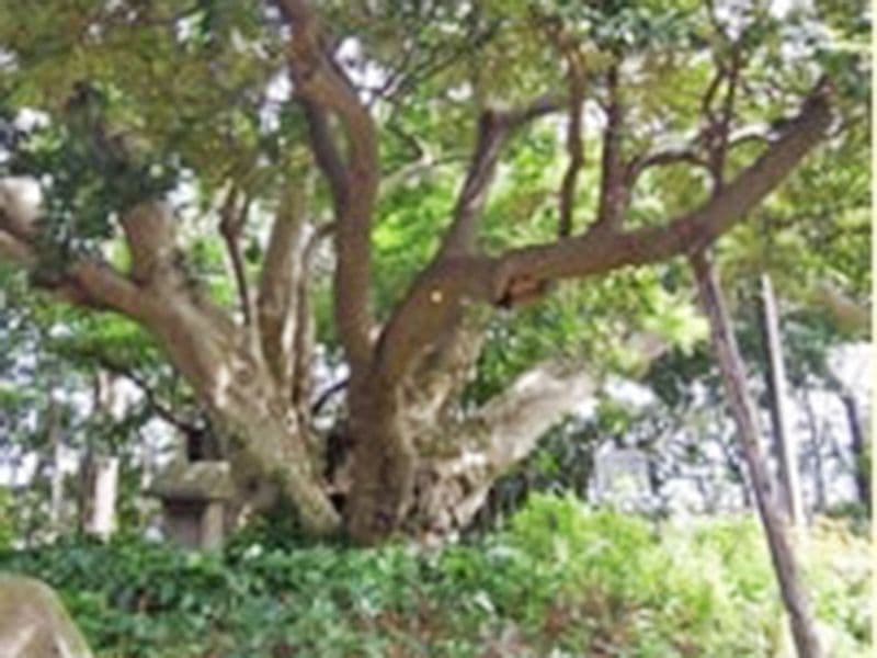 湘和苑