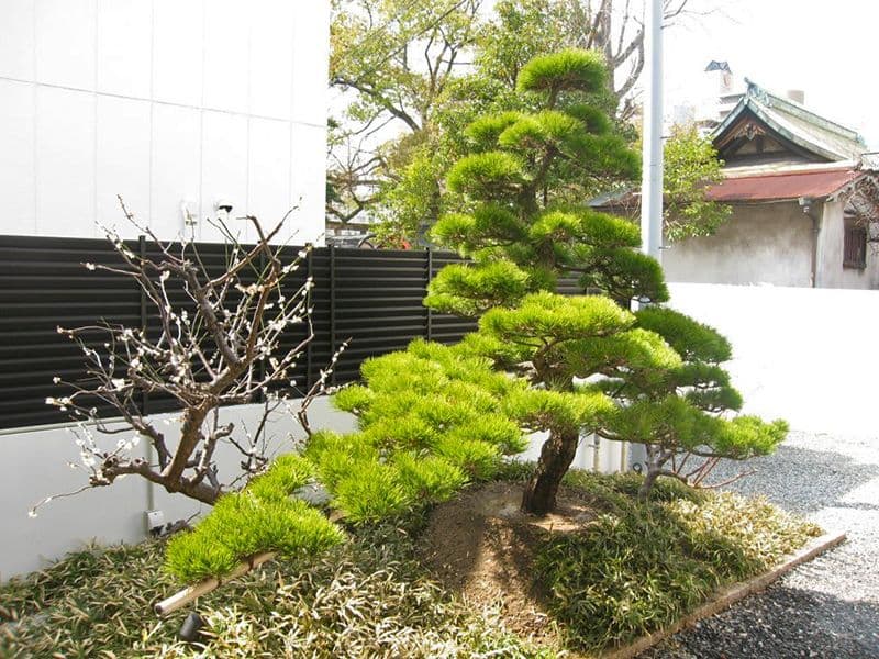梅松山墓苑