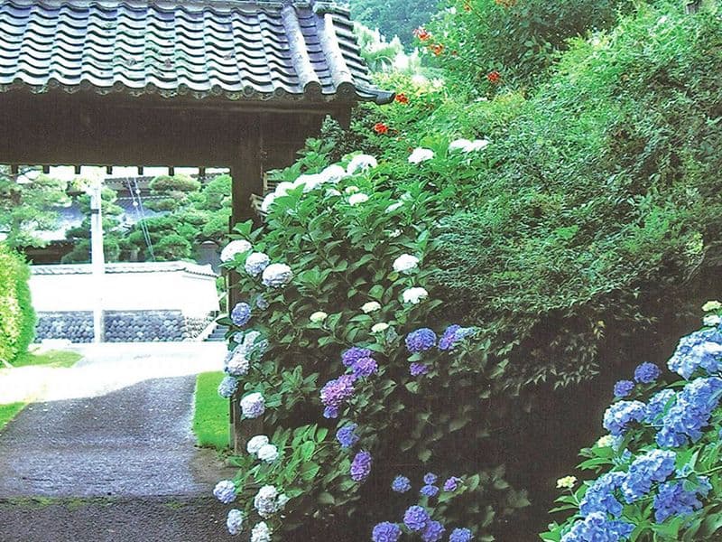 藤枝霊園