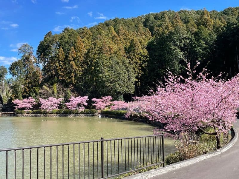 藤枝霊園