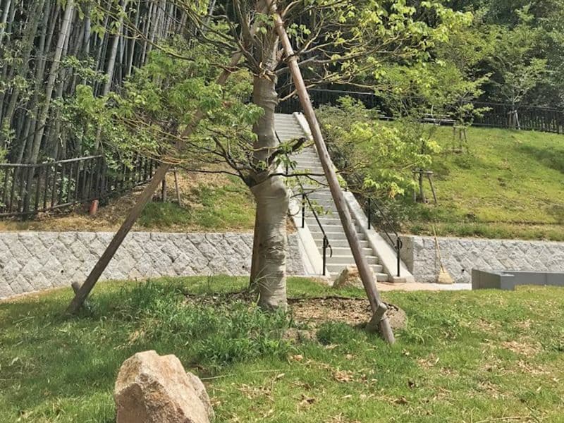 京都市営 深草墓地