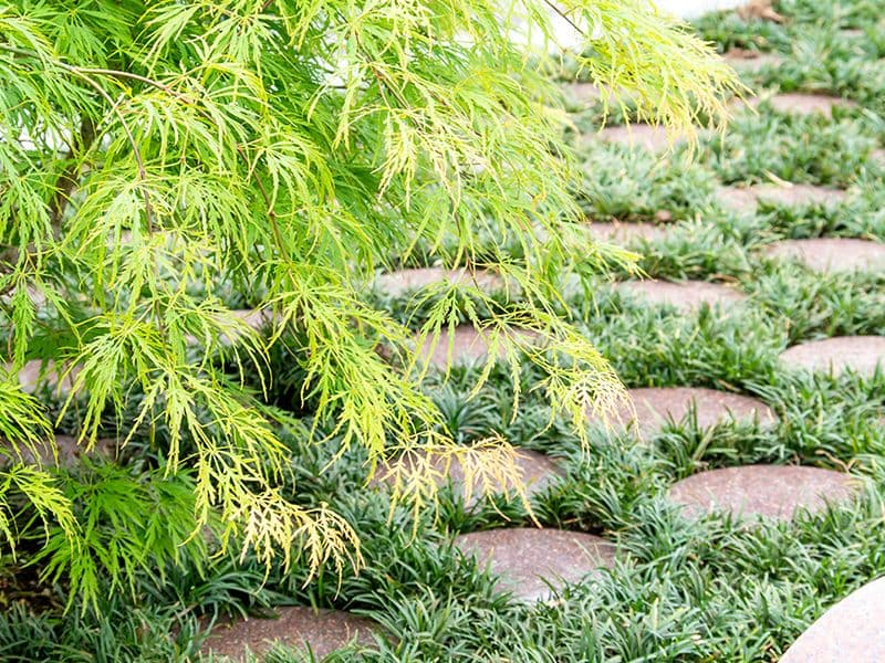 大田区 金剛院