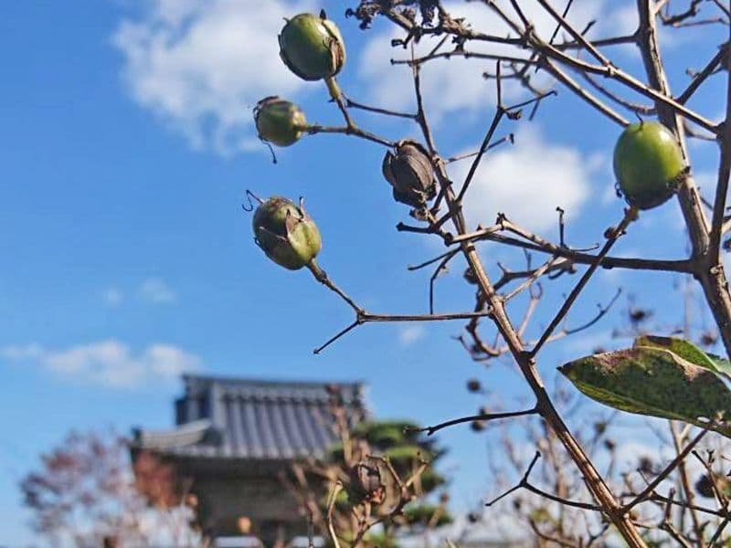 大牟田通玄寺納骨堂 サンガーデン