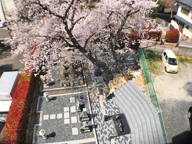 郡家東墓地