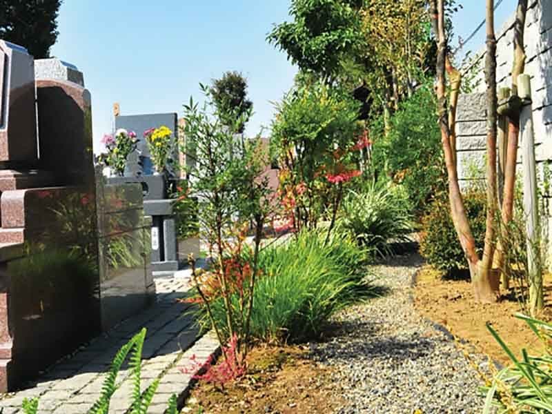 久喜聖地公苑　墓域の周りの木々