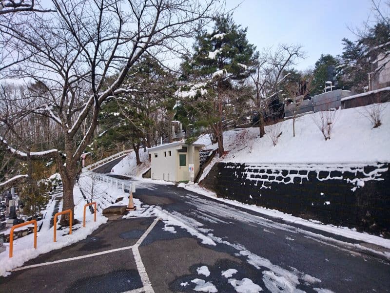 太陽の絆
