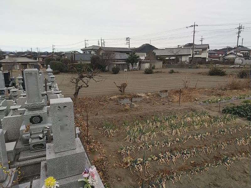 富岡東墓地