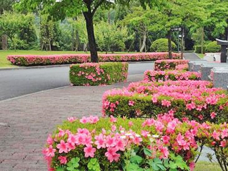 東京多摩霊園