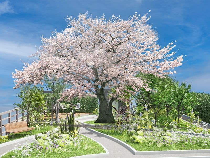 樹木葬 田無さくら庭園
