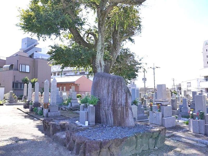 豊中市新免 南轟木二大字共有墓地