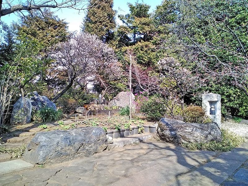世田谷霊園 大吉寺