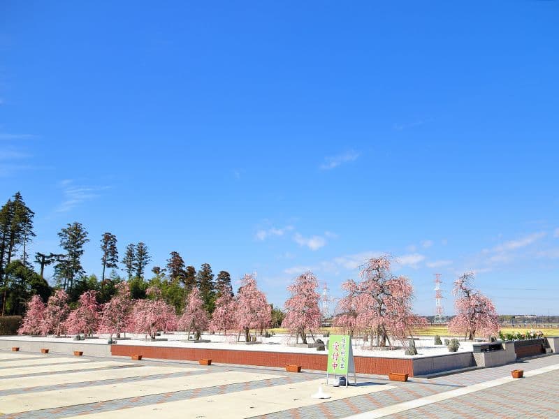 杜の郷霊園