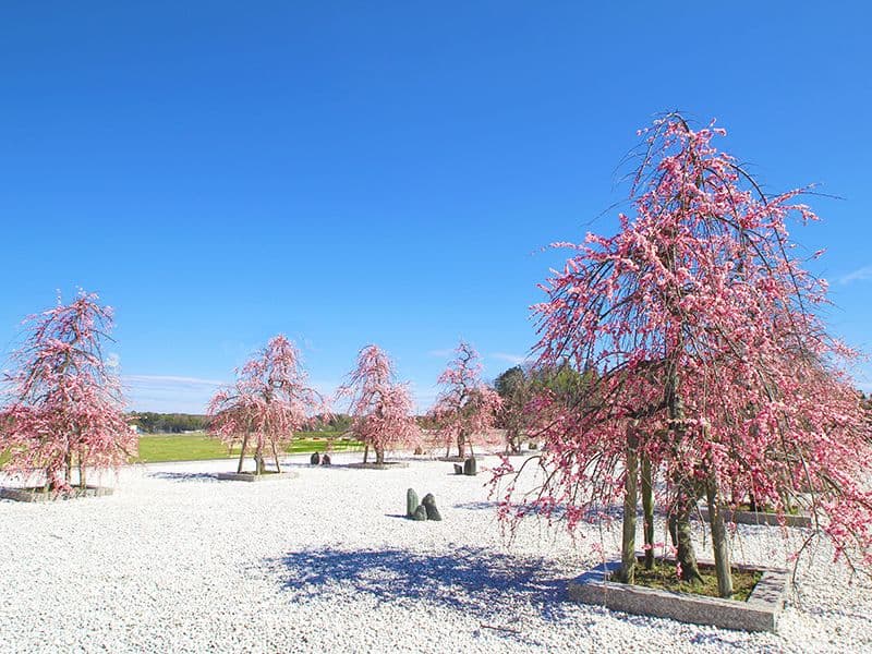 杜の郷霊園