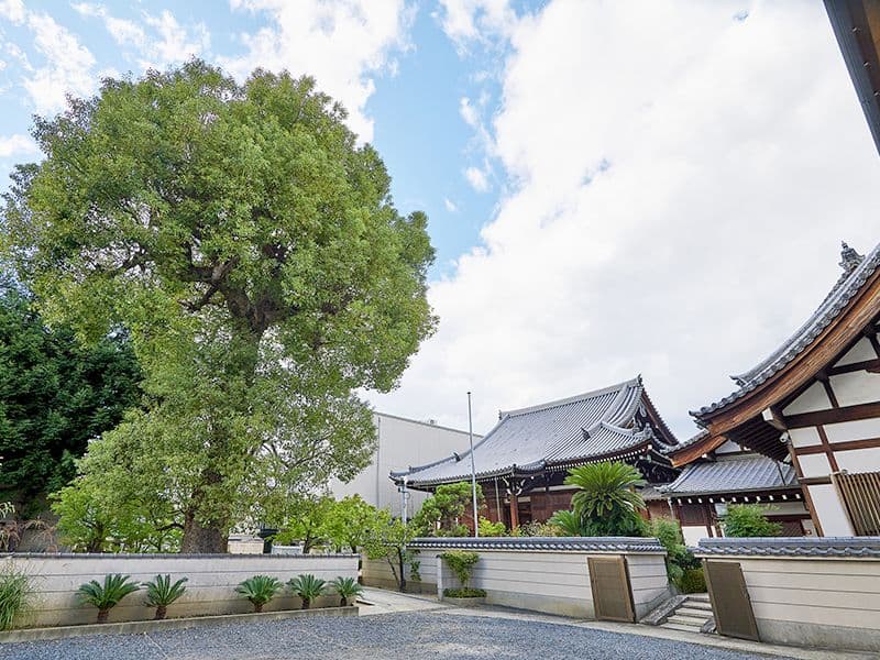 大阪吹田御廟