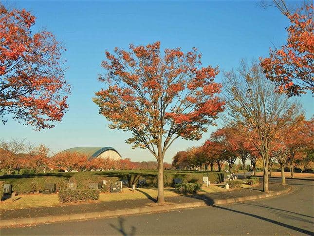さいたま市営霊園 思い出の里　空が広く開放的な園内