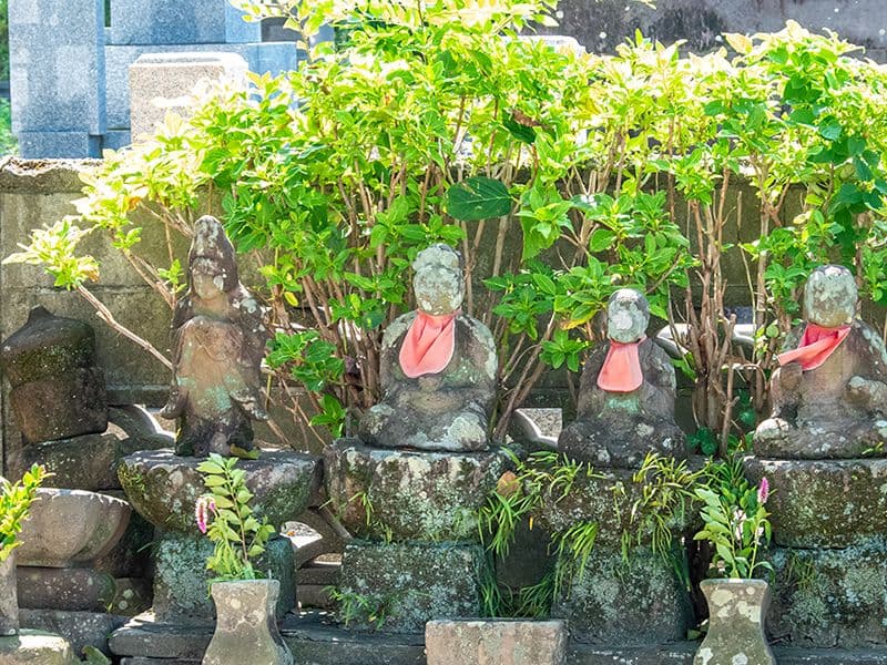 寒若寺