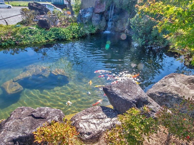 日本庭園を思わせる滝のある池