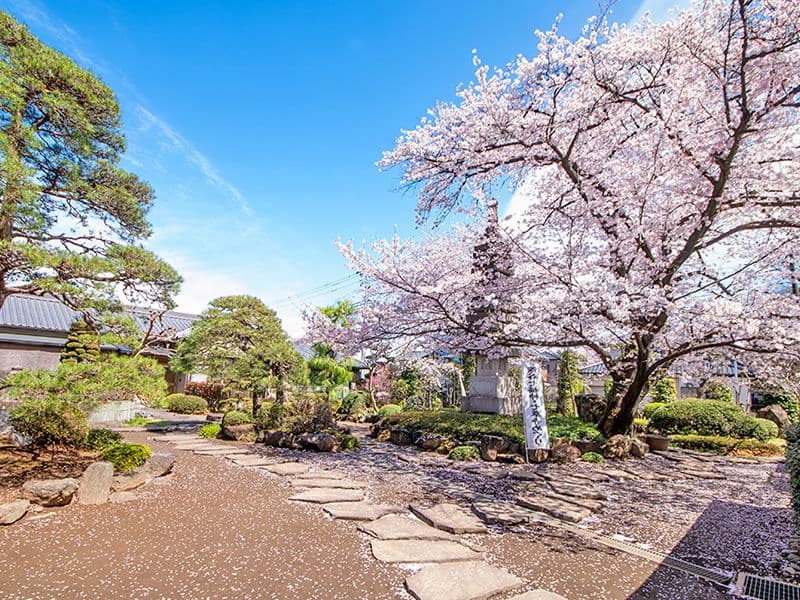瑠璃光寺