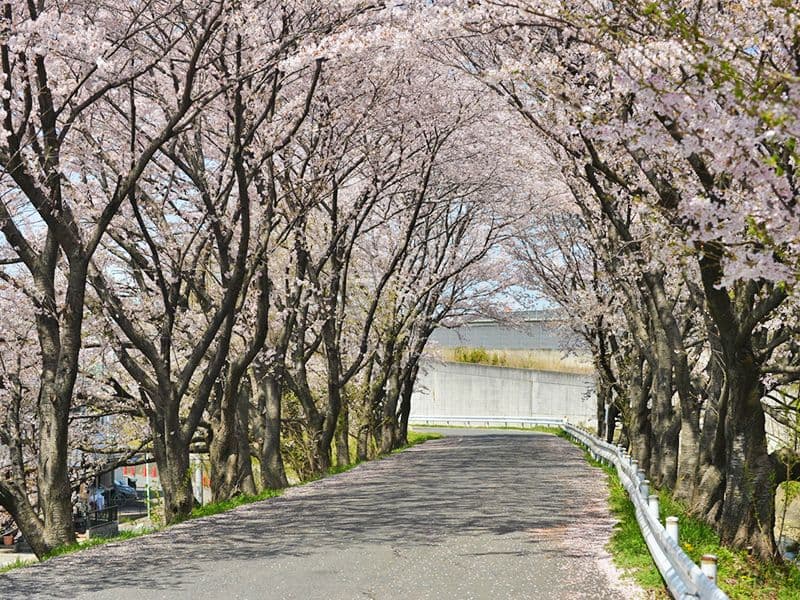 東山霊園