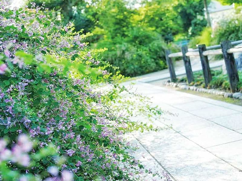 尾張萩の寺 花樂苑
