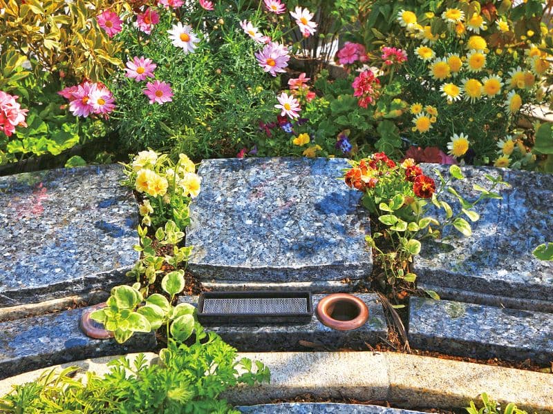 宗参寺 樹木葬 結いの桜・優美の舞