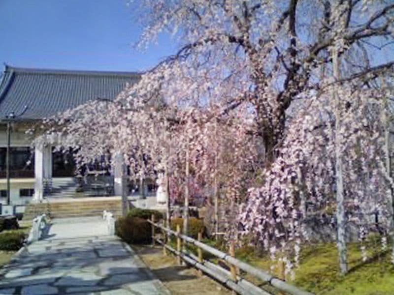 正眼寺 三ツ渕霊苑