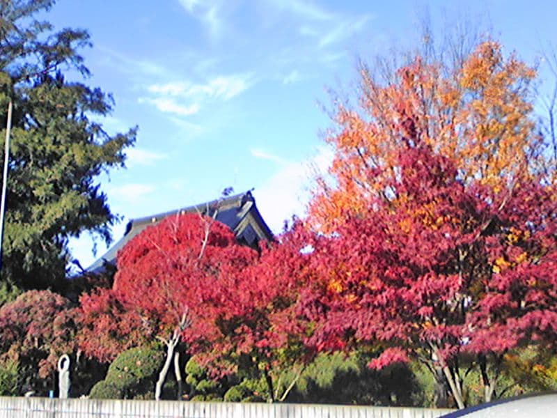 紅葉堂 樹木葬