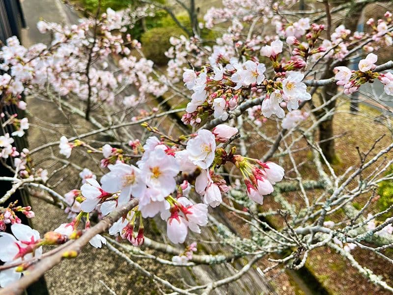 高槻霊園