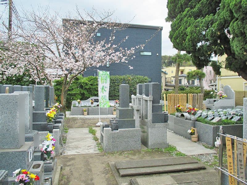 横須賀市久里浜 樹木葬永久の郷