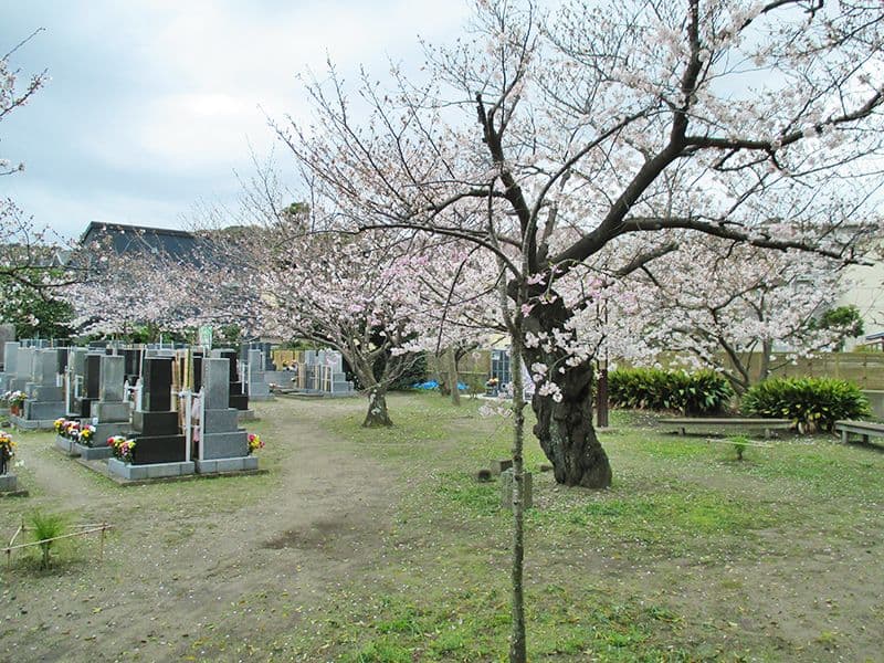 長安寺