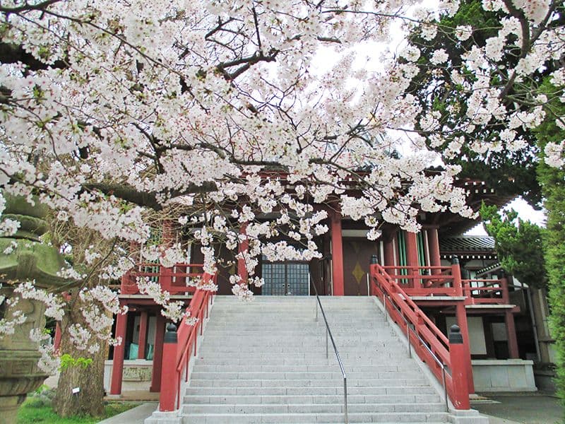 横須賀市久里浜 樹木葬永久の郷