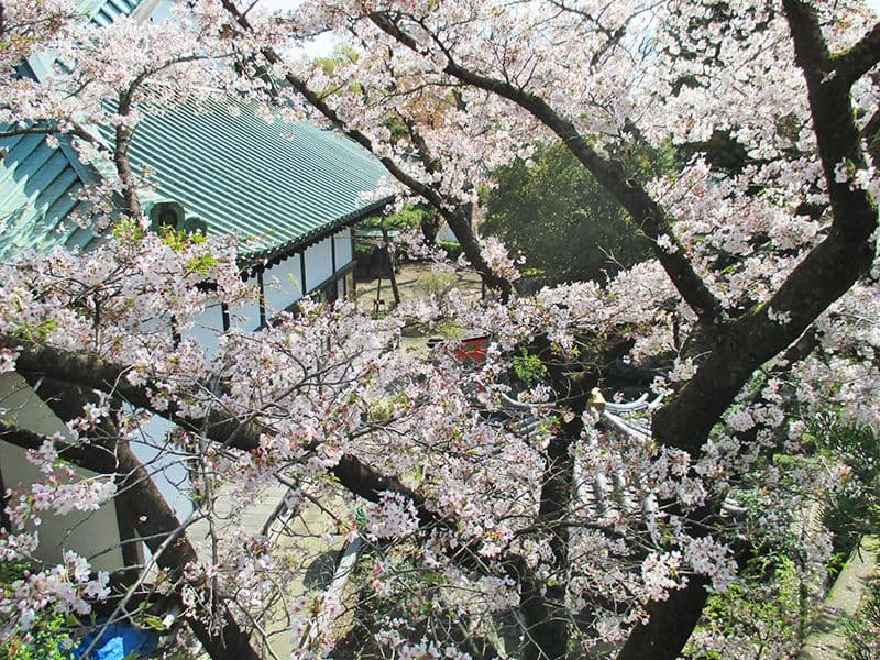 徳恩寺