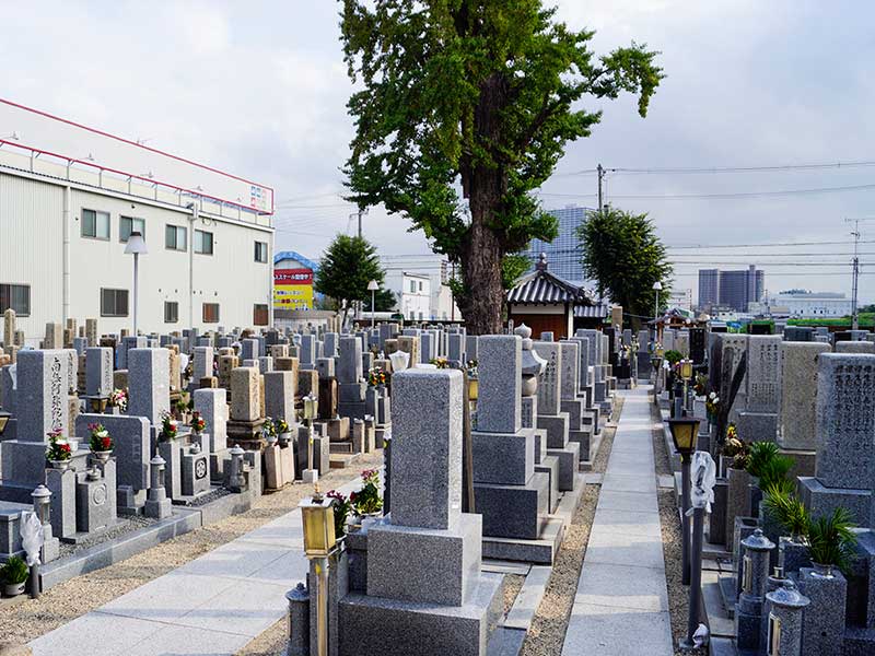 八尾市立 久宝寺墓地　フラットな参道