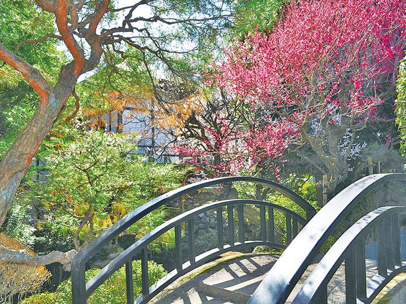 寶乘寺霊園 おもひでの径