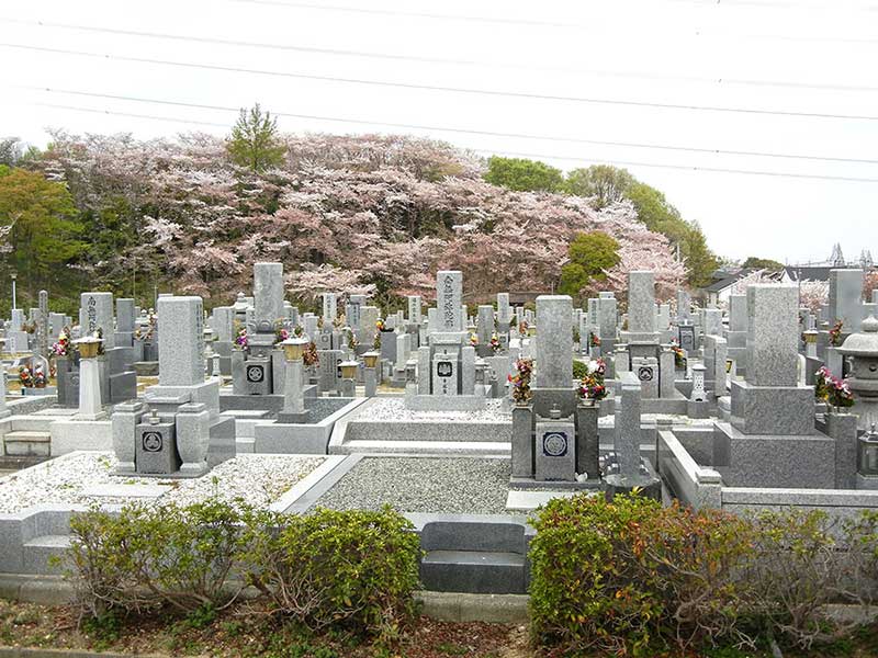 大阪狭山市営 西山霊園　桜が咲く園内