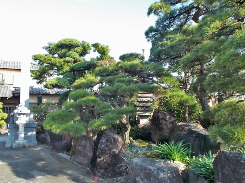 大光寺
