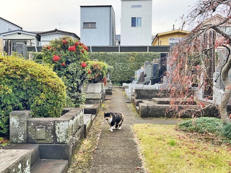 福相寺