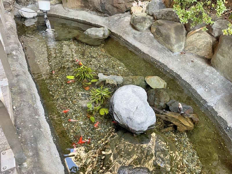 曹洞宗 醫王山 妙清寺