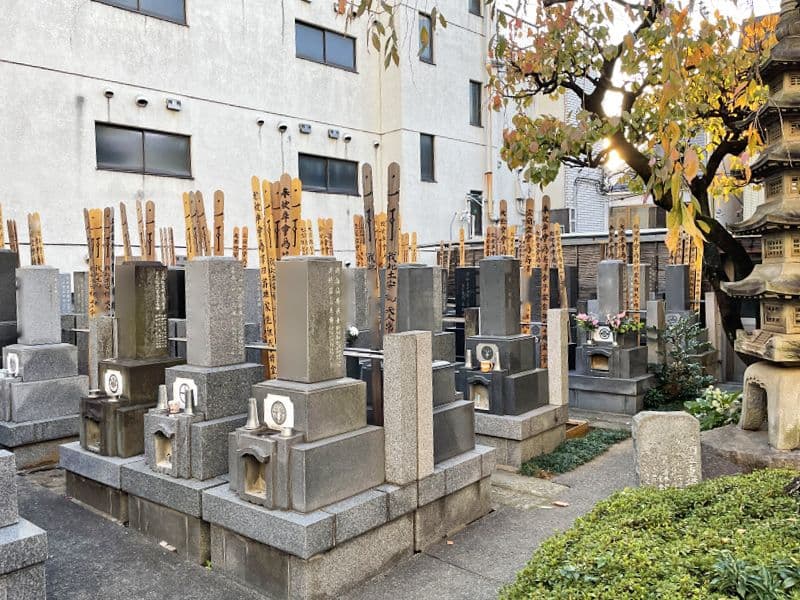 曹洞宗 醫王山 妙清寺
