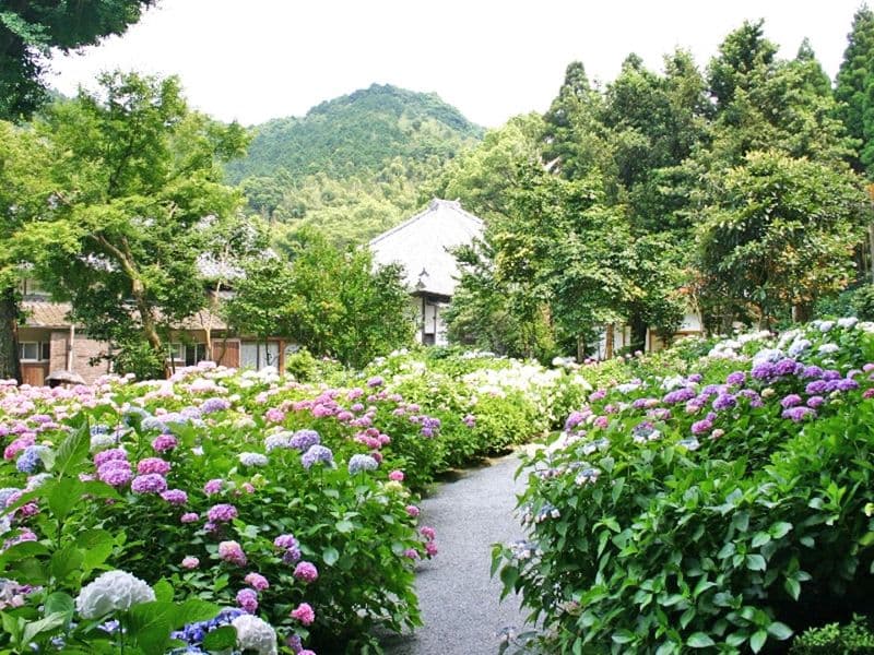 千光寺