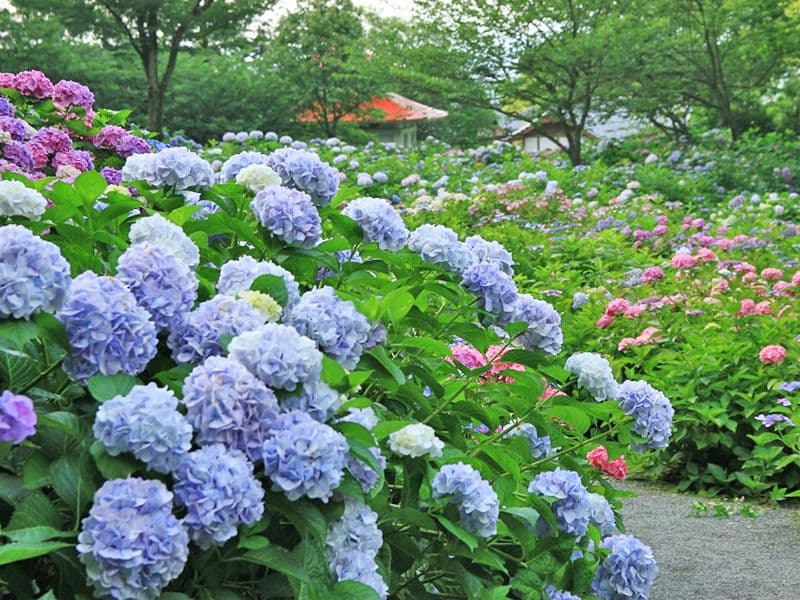 千光寺