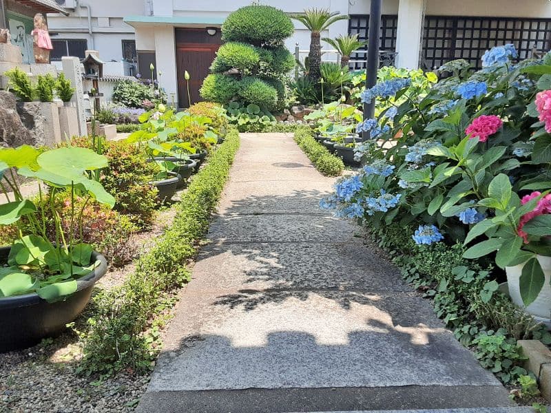 大善寺墓苑