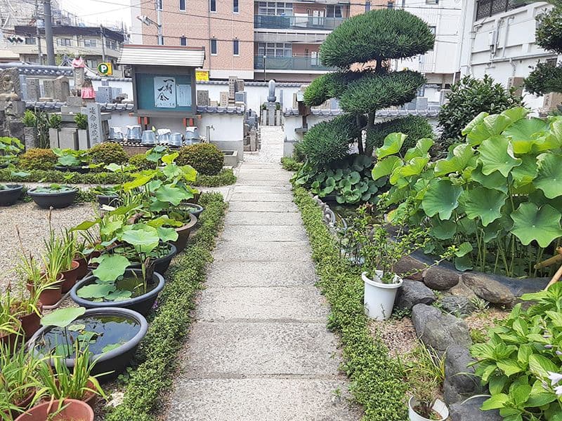 大善寺墓苑