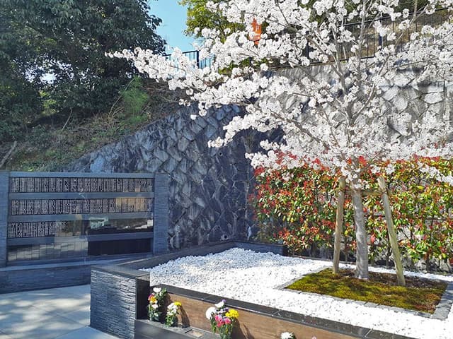 区画写真