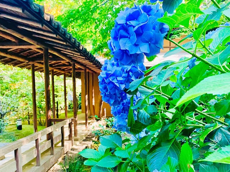 広尾の杜